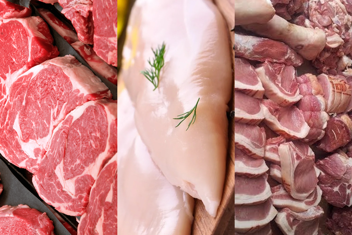 Carne Engorda? Mitos e Verdades sobre o Consumo de Carnes