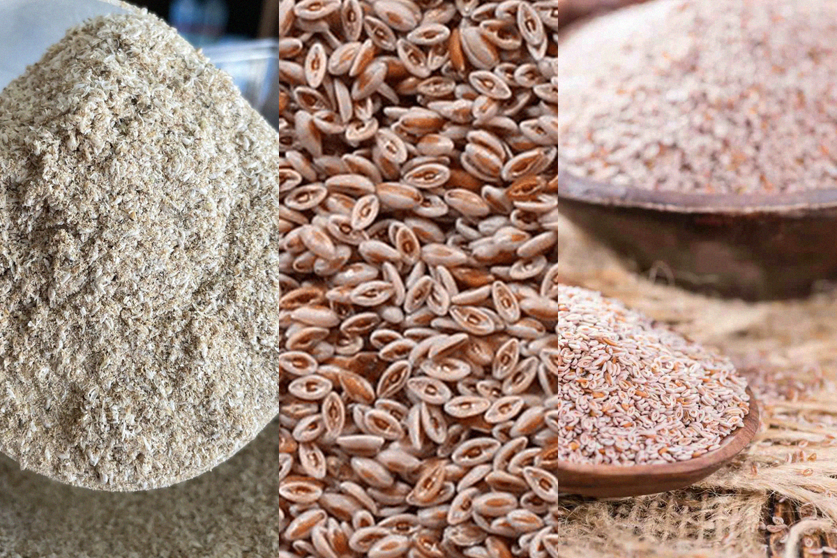 receitas com psyllium